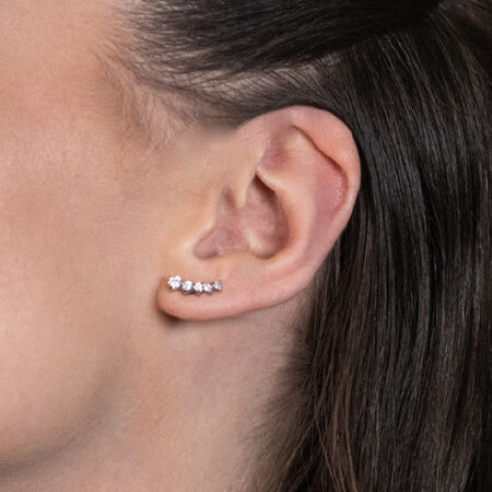 Viehko korvakoru valkokulta